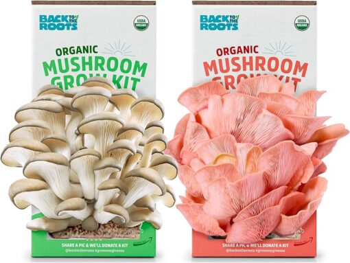 Back to the Roots Organic Mushroom Grow Kit