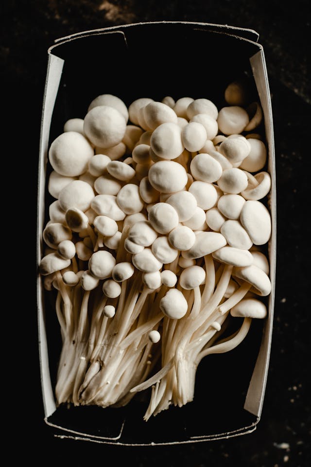 White enoki mushrooms clustered in an open cardboard box, viewed from above against a dark background.