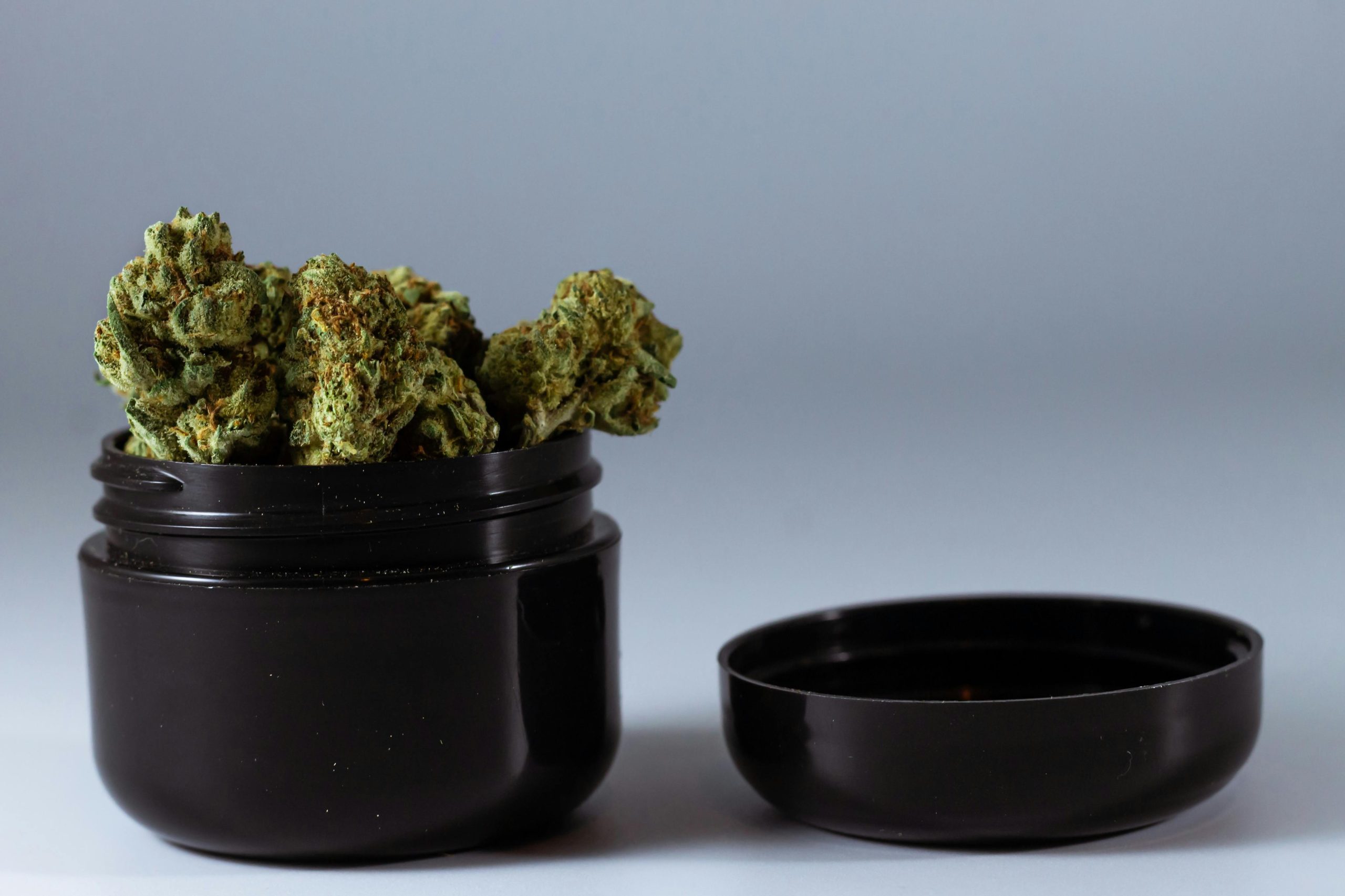 Cannabis buds overflowing from an open black plastic dispensary jar on a gray background.