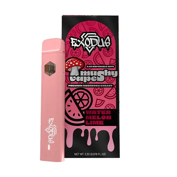 Mushroom Vape Pens in Worcester, MA: What to Know Before You Buy